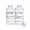Olaplex No.4 & No.5