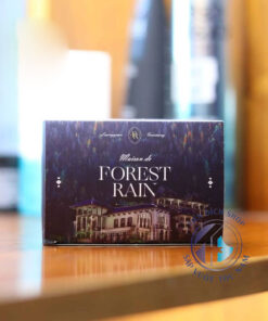 sáp Vx 88 xổ số lô đề Forest Rain 100g Lương Quân