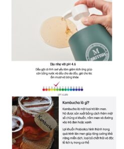VV88a dịch vụ hỗ trợ 24/7 nam BRITISH M Kombucha Shampoo 750ml HOT