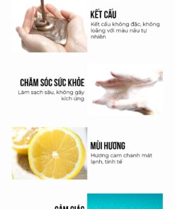 Công dụng Dashu Daily Anti-Hair Loss Scalp Shampoo 500ml