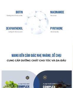 Thành phần Dashu Daily Anti-Hair Loss Scalp Shampoo Hàn Quốc