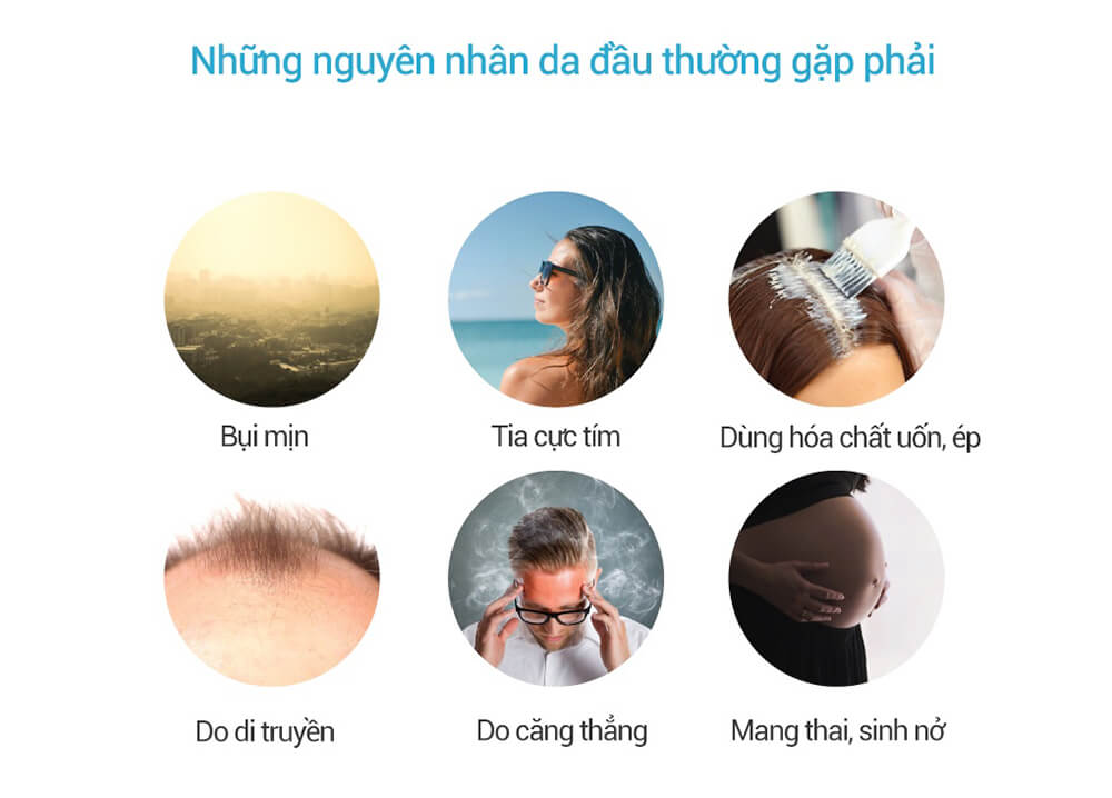 Đánh giá BRITISH M Regenall Energy Booster