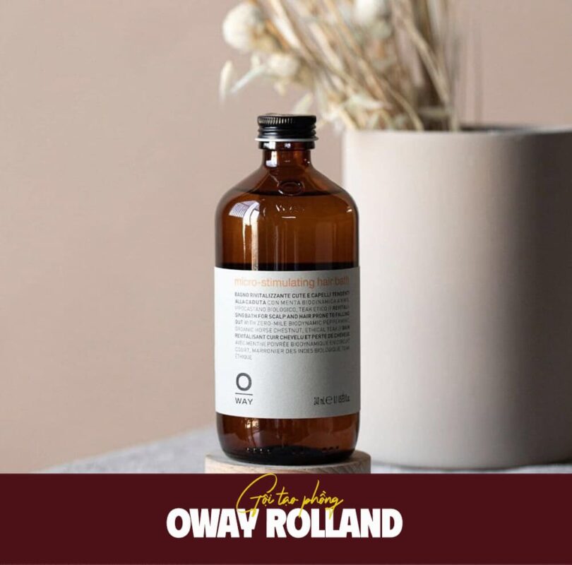 VV88a dịch vụ hỗ trợ 24/7 tạo phồng tóc OWAY ROLLAND