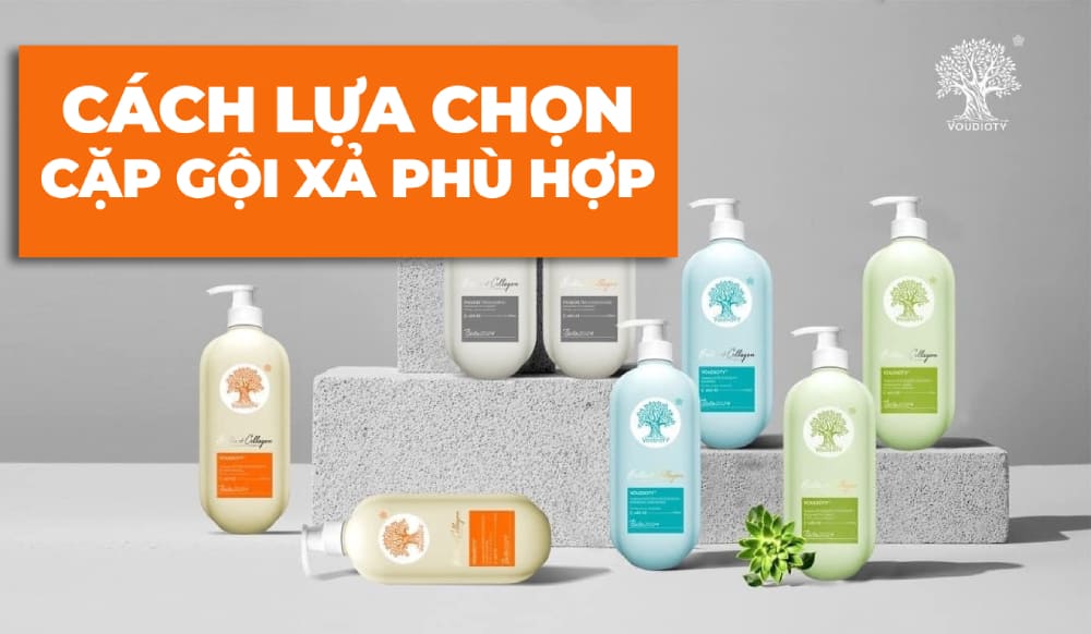 Cách chọn Nhà Cái Vx88 Esball Mobi cặp gội xả phù hợp