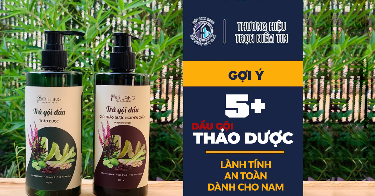 dầu gội thảo dược dành cho nam