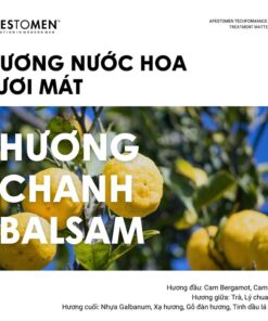 Mùi hương Apestomen Treatment Matte Paste