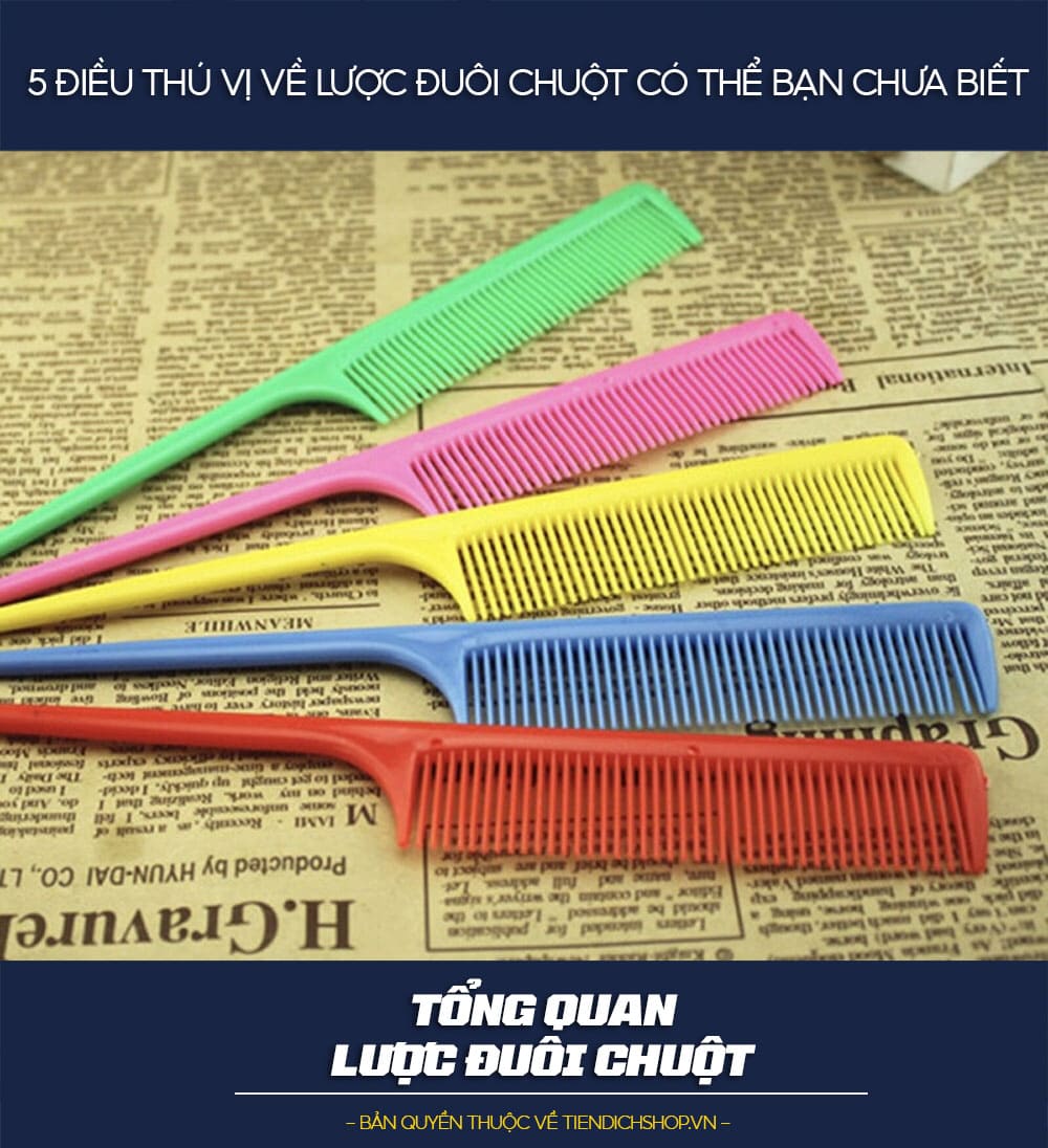 Review tổng quan về lược đuôi chuột
