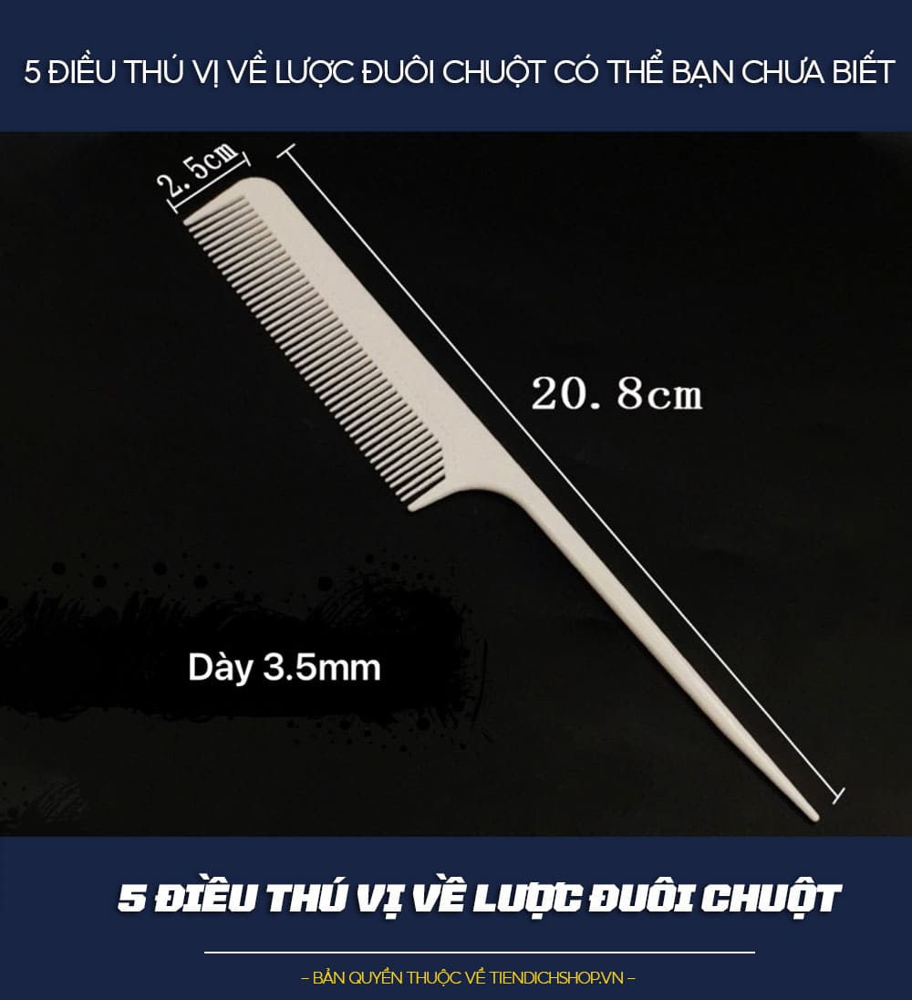 5 điều thú vị về lược đuôi chuột