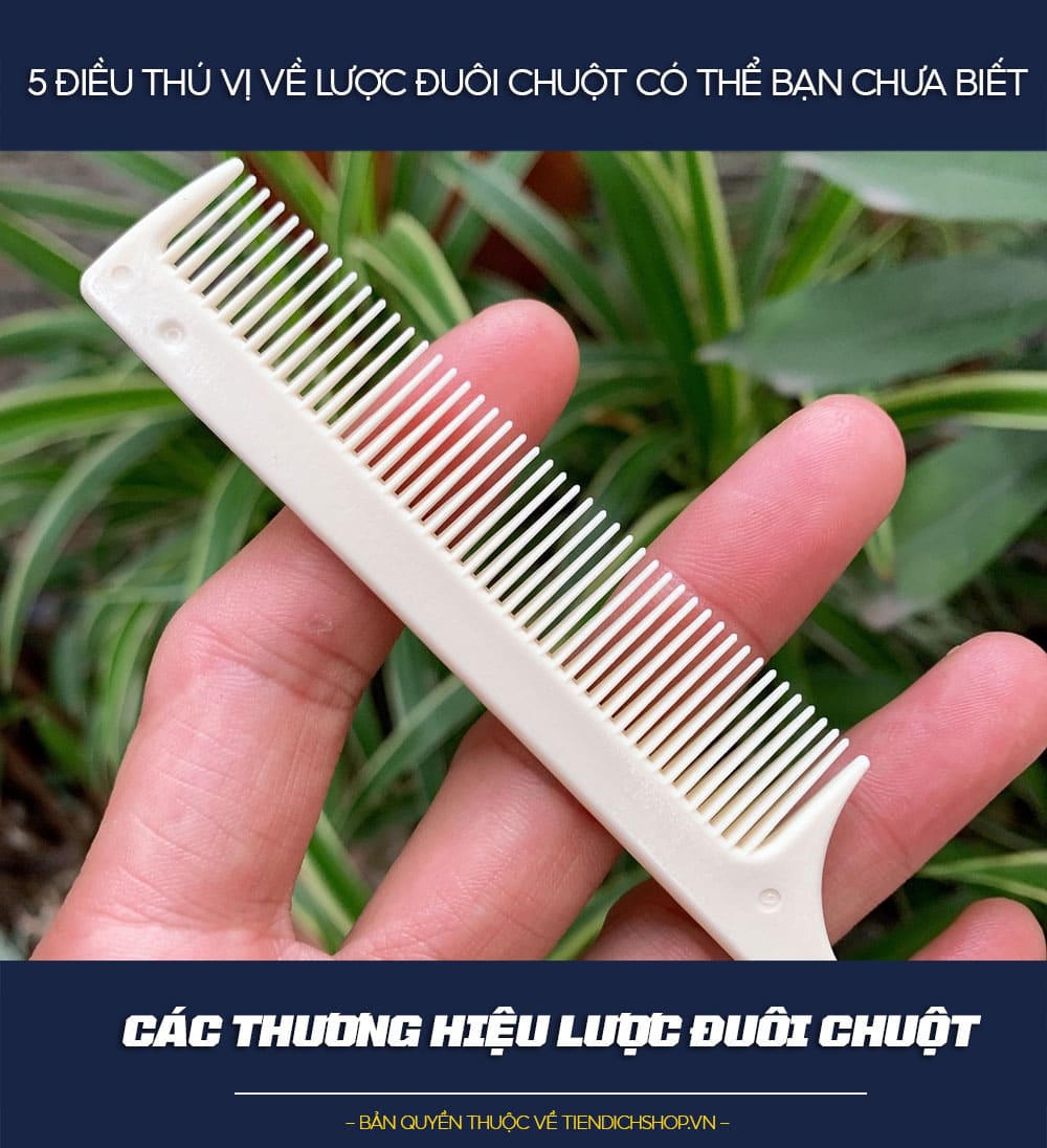 Các thương hiệu lược đuôi chuột